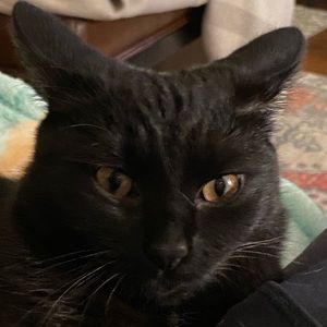 Meet your Posher, Coby